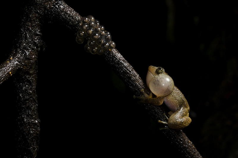 Лучшие работы фотоконкурса от журнала Smithsonian