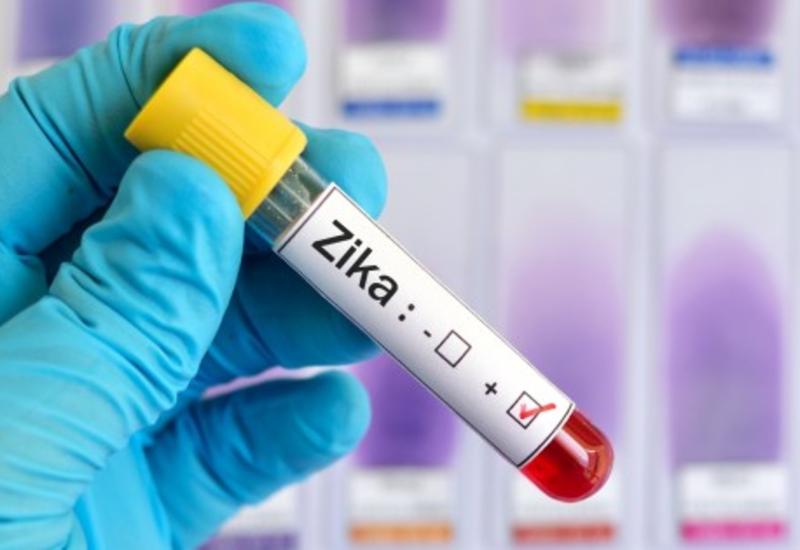 Ученые разработали вакцину от вируса Зика