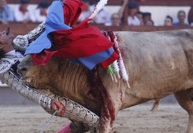 В Мадриде бык раздавил матадора во время родео