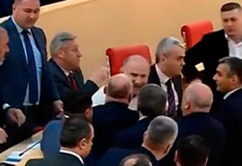 Грузинские депутаты устроили потасовку во время обсуждений