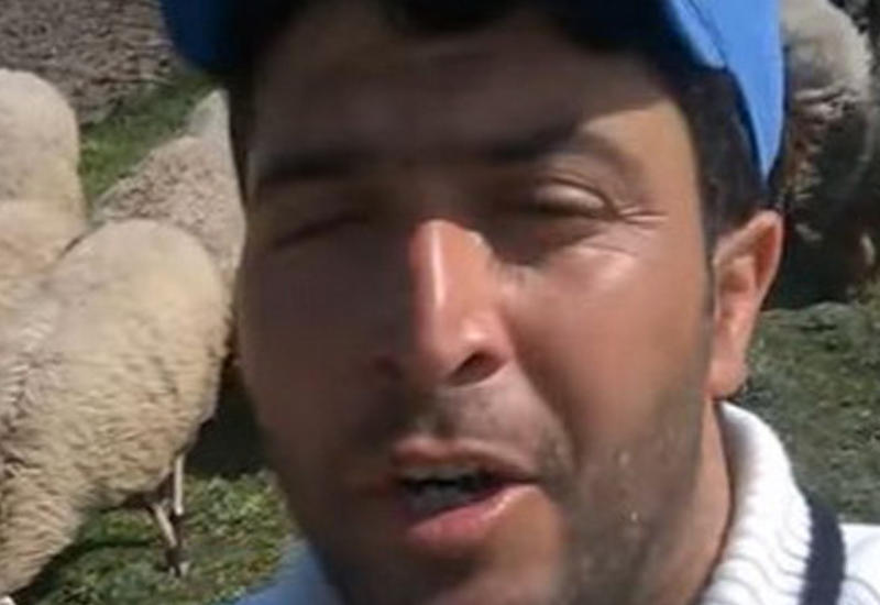 В Азербайджане поющий пастух в одночасье стал героем соцсетей