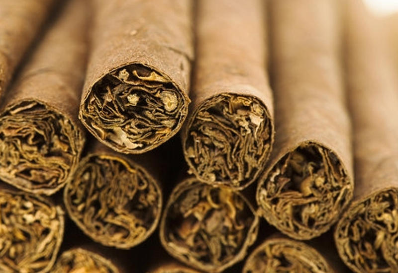 Импорт семян табака в Азербайджане освободят от пошлин