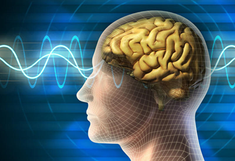 Ученые нашли эффективный способ улучшения памяти