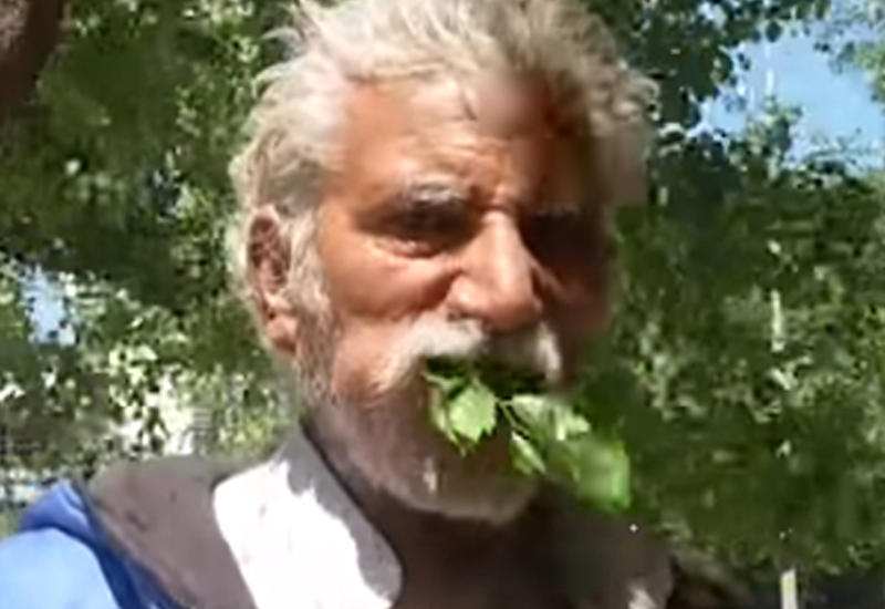 Пакистанец 25 лет ест одни только деревья