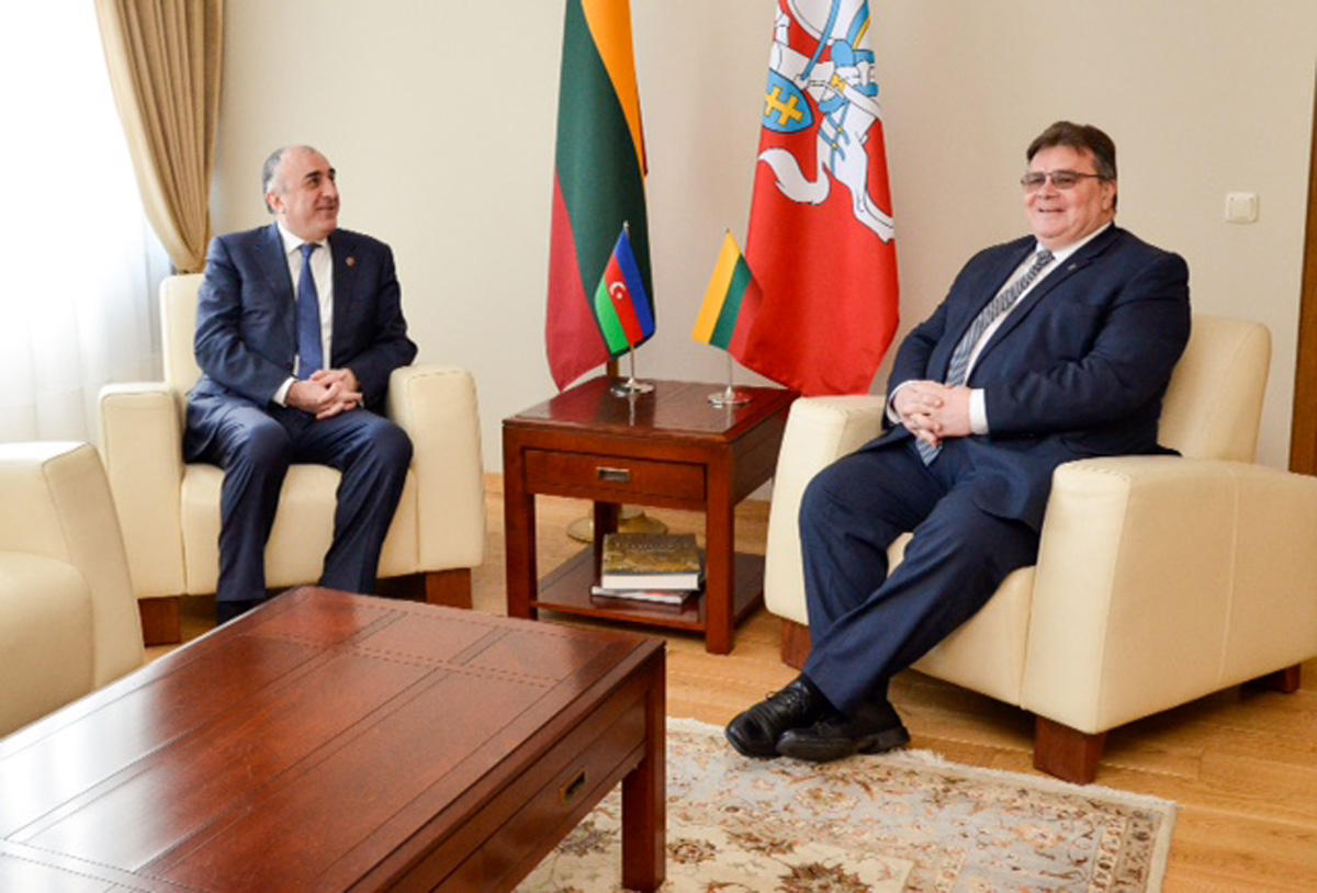 Эльмар Мамедъяров на переговорах с литовским министром