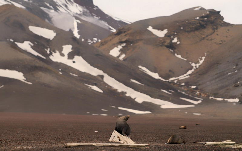Удивительная Антарктика в фотографиях Josselin Cornou