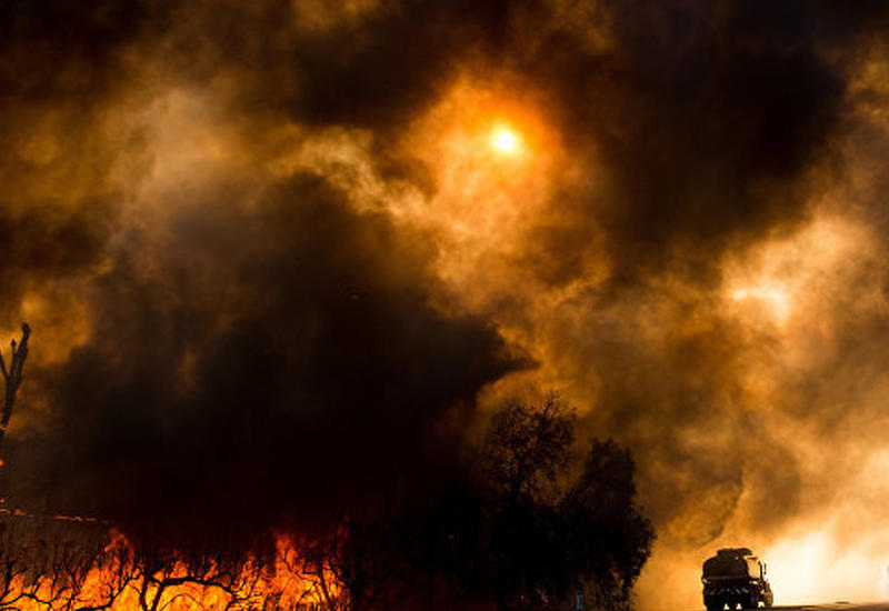 Американский город эвакуируют из-за сильных лесных пожаров