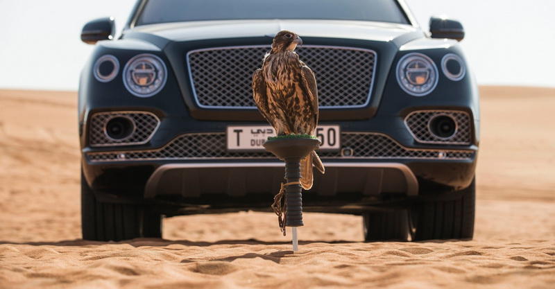 Роскошный кроссовер Bentley Bentayga подготовили к соколиной охоте