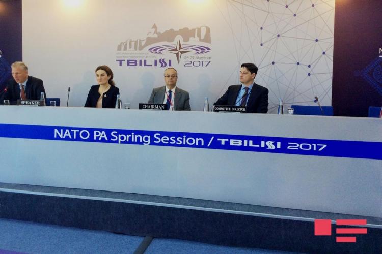На мероприятии НАТО в Тбилиси поднят вопрос оккупации Карабаха