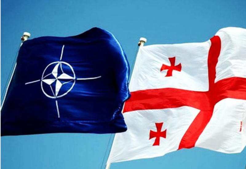 Глава Минобороны Грузии анонсировал тесное сотрудничество с НАТО