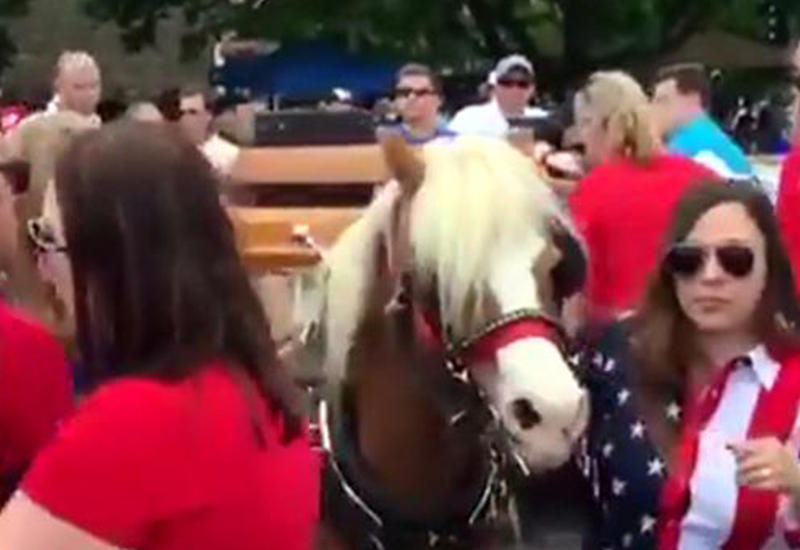 Неуправляемые пони затоптали трех человек на параде в США