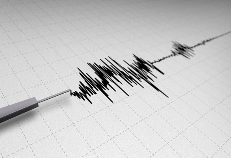 В Грузии произошло сильное землетрясение