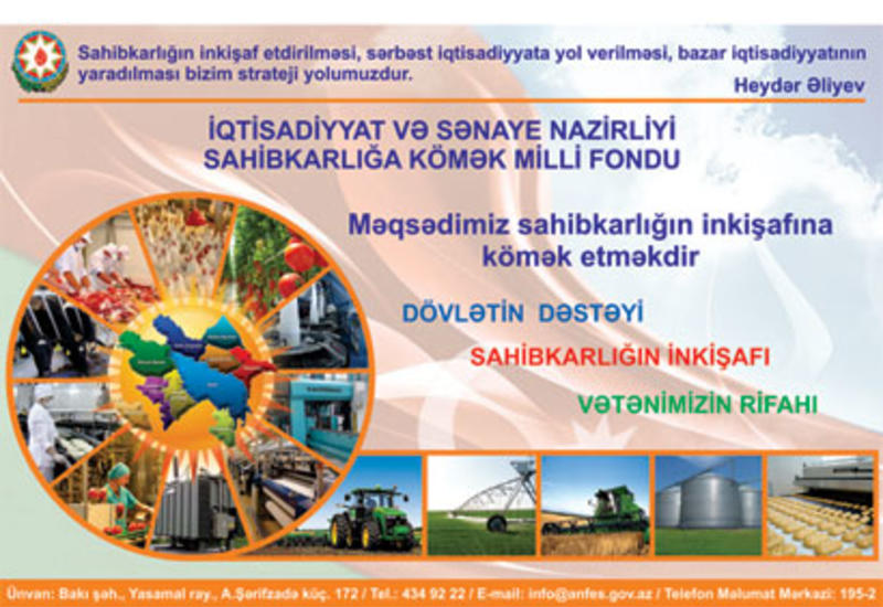НФПП выделил азербайджанскому бизнесу многомиллионные кредиты