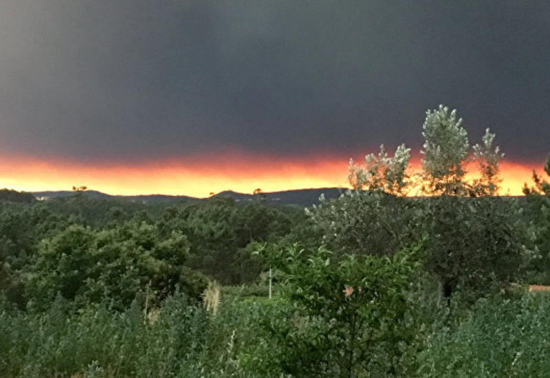 В Португалии лесные пожары унесли жизни 62 человек