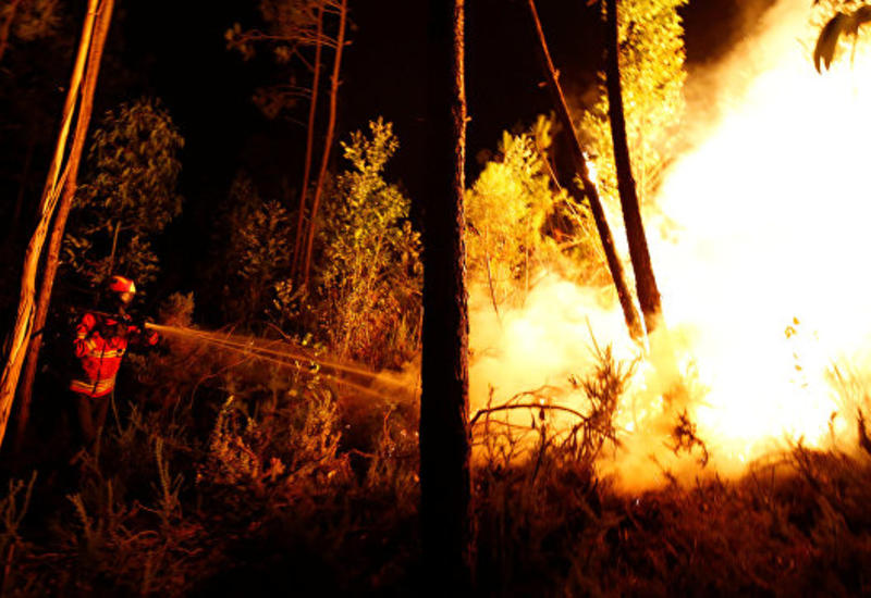 Страны ЕС помогут Португалии бороться с лесными пожарами