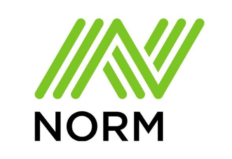 Norm. Norm Cement. Семент. Фирма Norm платья. Reco sement logo.