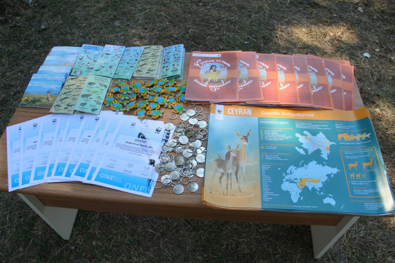 В Азербайджане завершился летний экологический лагерь «Защитим джейранов!»