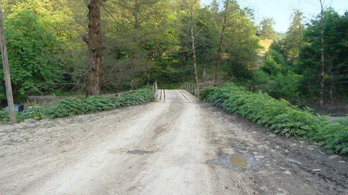 Заново прокладывается дорога через Гирканский национальный парк