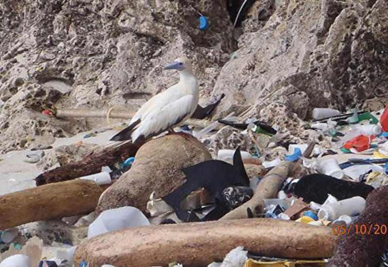 Ученые подсчитали, сколько пластикового мусора создало человечество