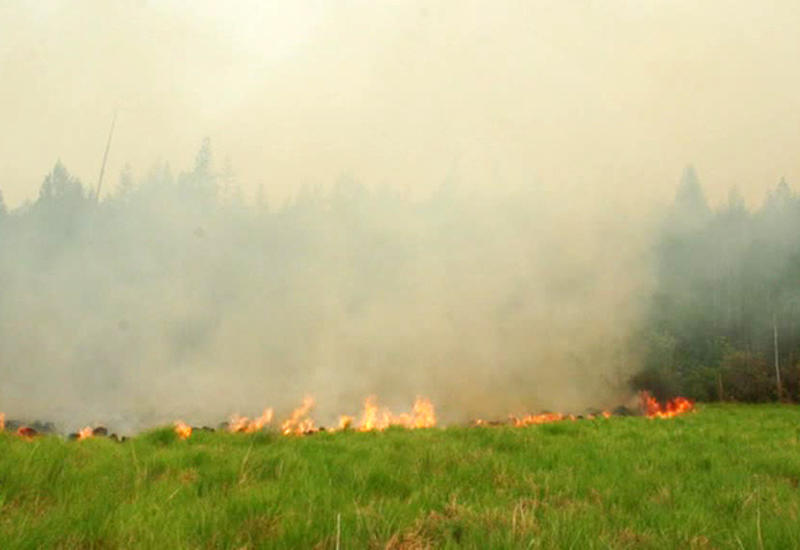 Якутия охвачена лесными пожарами