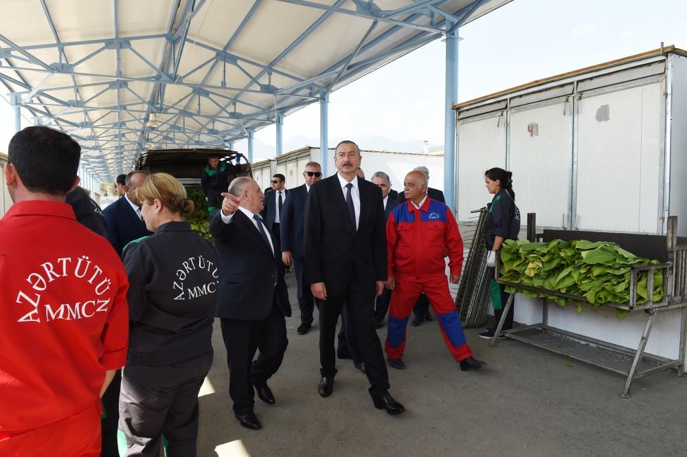 Поездка Президента Ильхама Алиева в Балакенский, Загатальский и Гахский районы