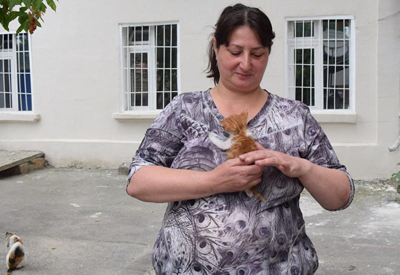 Жительница Мингячевира дает приют всем уличным кошкам своего города