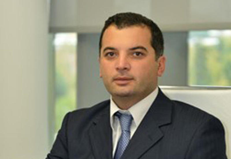 Илья Элошвили: Уровень газификации Грузии компанией SOCAR превысит запланированные объёмы