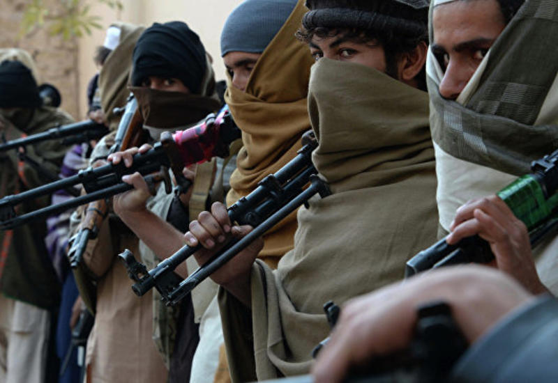 Боевики "Талибана" подорвались на собственной взрывчатке в Афганистане