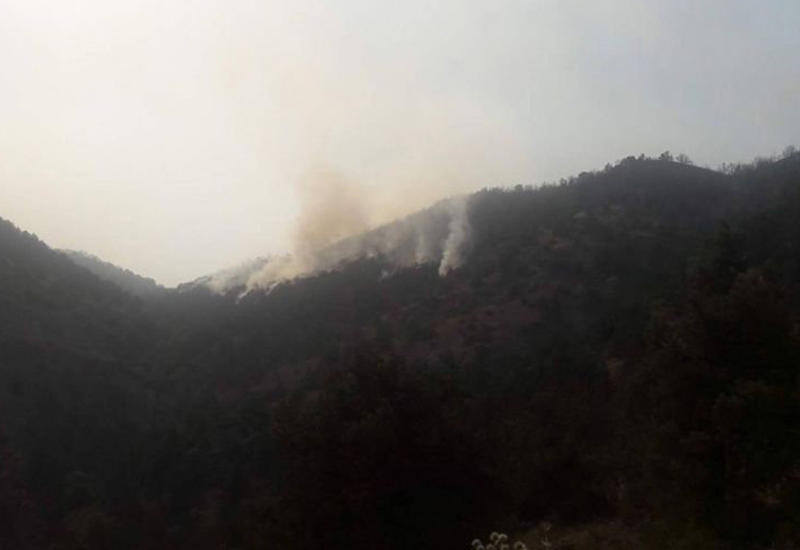 Лесной пожар в Армении захватывает новые территории