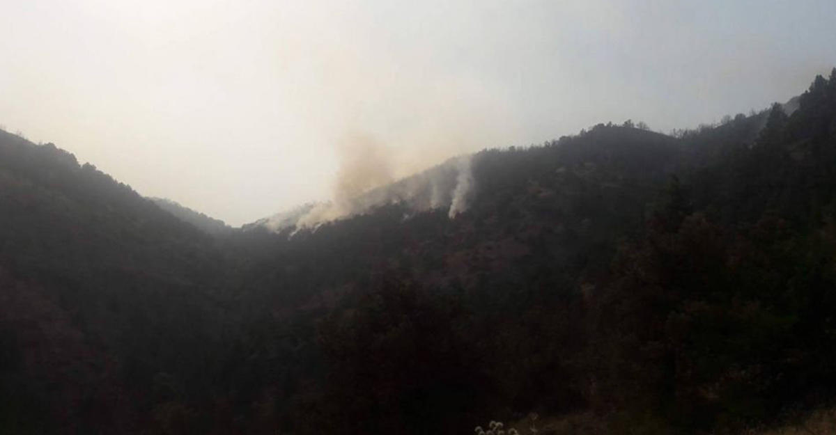 Выявлен виновник пожара в лесах Вайоцдзорской области Армении