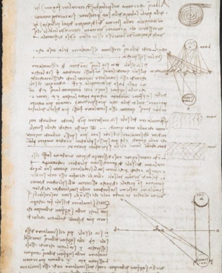 570 оцифрованных страниц из дневников Леонардо Да Винчи опубликованы онлайн