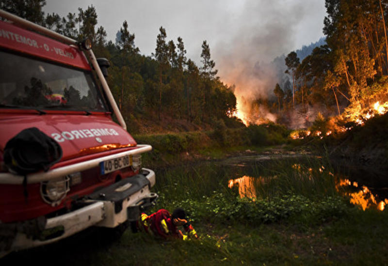 Португалия обратилась к ЕС за помощью в тушении пожаров