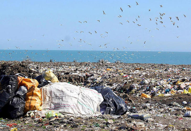 Экология иранского побережья Каспийского моря находится под угрозой