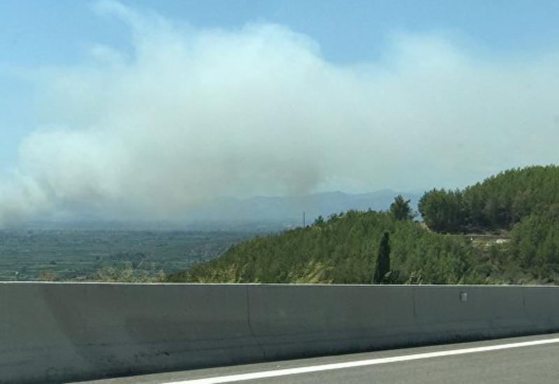 Греция попросила у ЕС помощи в борьбе с лесными пожарами