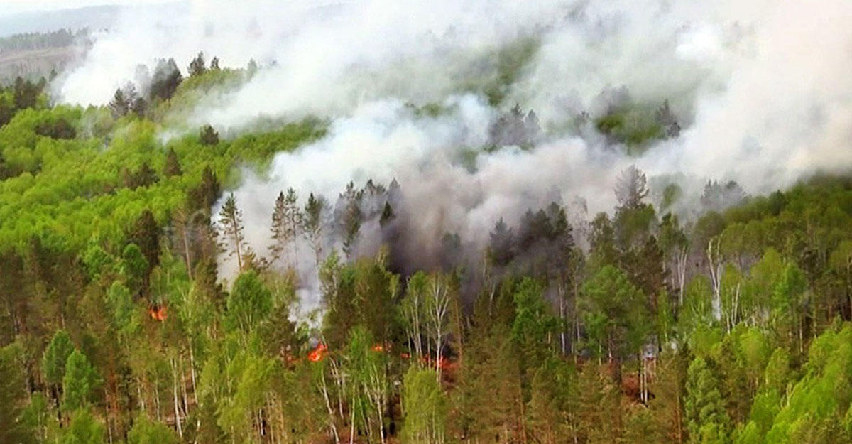 Лесные пожары таежный. Пожар в лесу Иркутская область. Пожар в тайге. Лесной пожар вид сверху. Лесные пожары в тайге для детей.