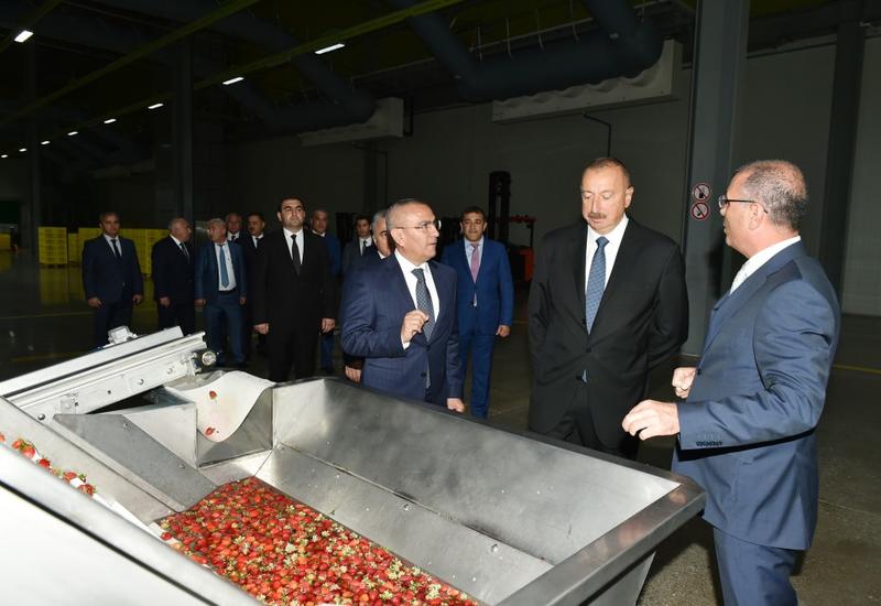 Президент Ильхам Алиев принял участие в открытии логистического центра "Шамкирского агропарка"