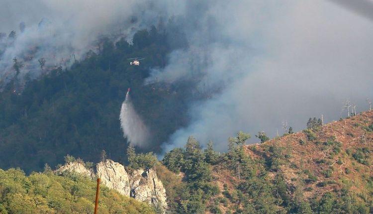 Азербайджан помогает Грузии тушить лесные пожары