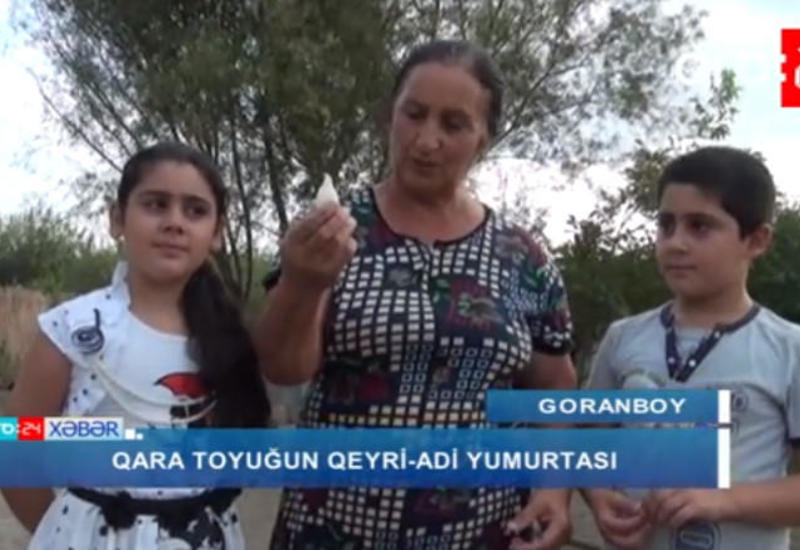 Goranboyda qeyri-adi yumurta görənləri təəccübləndirdi <span class="color_red">- FOTO - VIDEO</span>