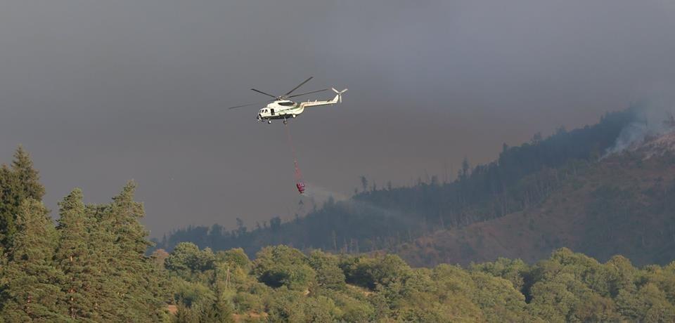 Азербайджан помогает Грузии тушить лесные пожары
