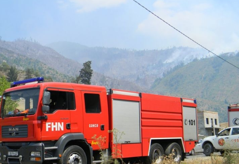 Пожарные Азербайджана потушили в Грузии огромную территорию