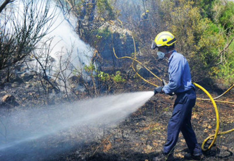 Основные очаги возгорания в Боржомском лесу локализованы