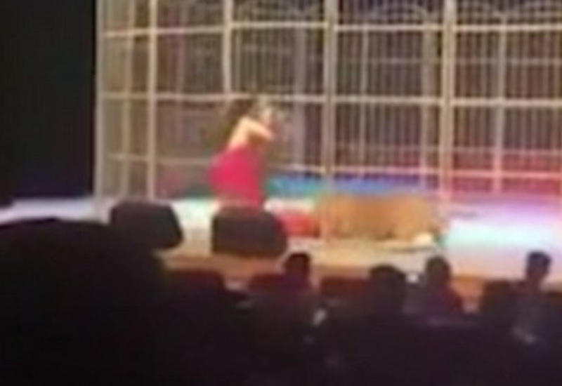 В китайском цирке тигр напал на дрессировщика