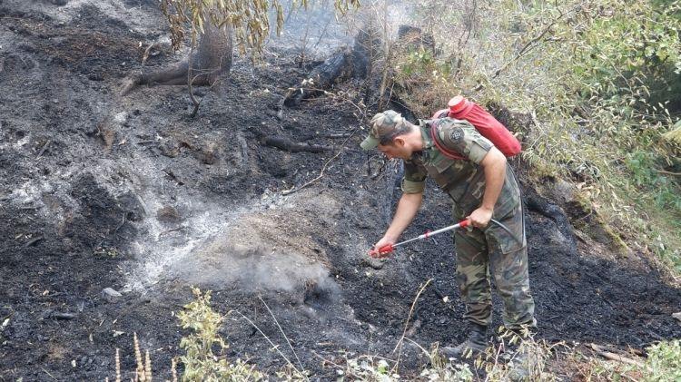 МЧС об участии азербайджанских пожарных в операциях по тушению лесных пожаров в Грузии