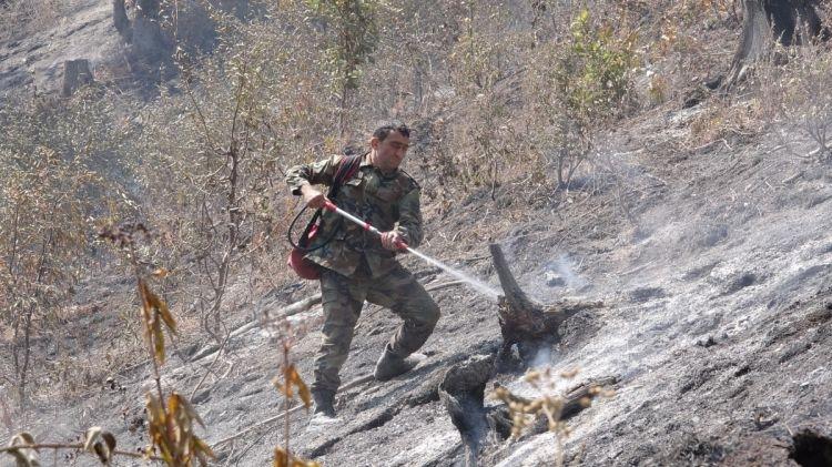 МЧС об участии азербайджанских пожарных в операциях по тушению лесных пожаров в Грузии
