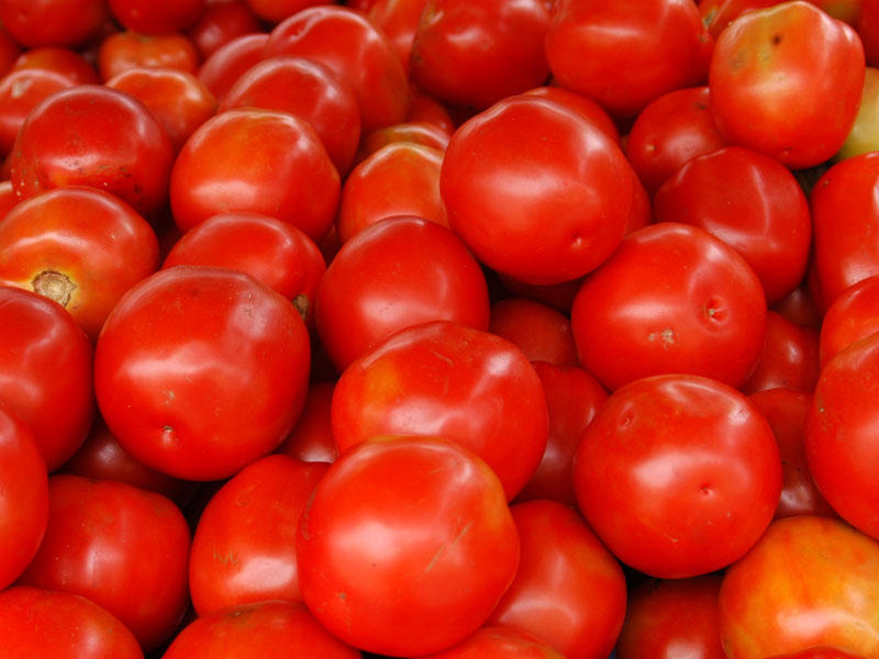 Rusiyadan Azərbaycan pomidor ilə bağlı sərt tələb