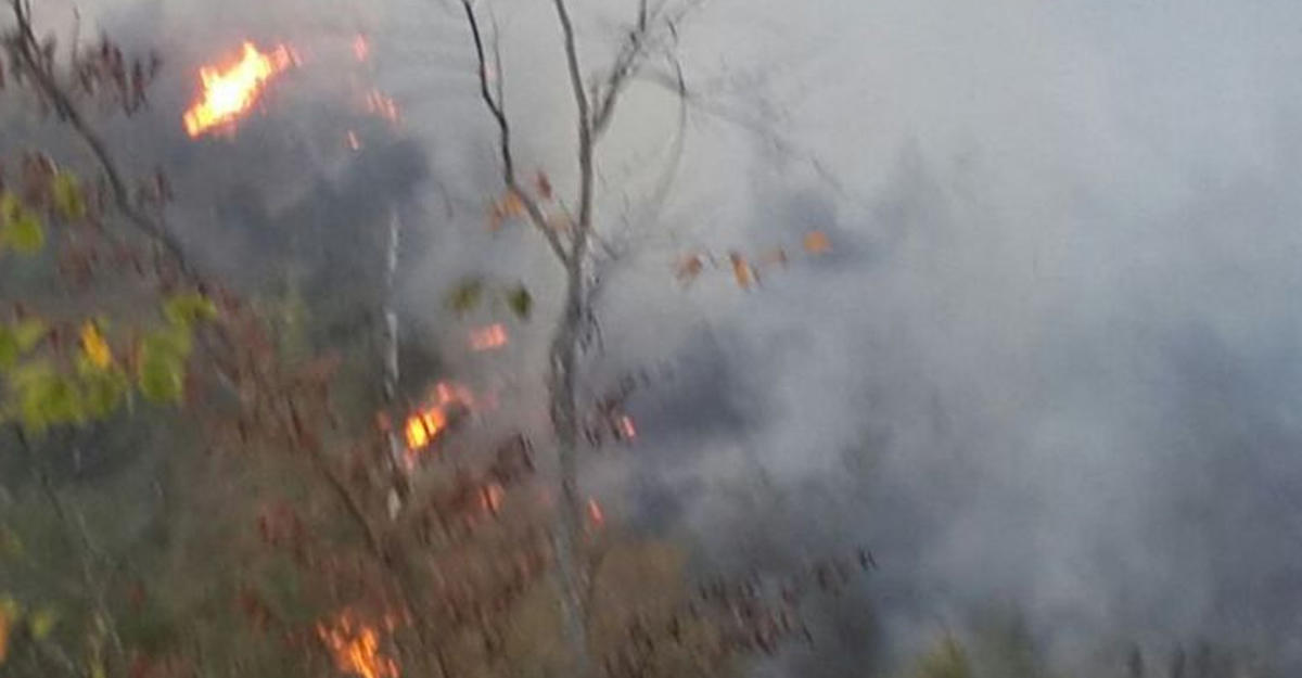 МЭПР: Пожар в Габале взят под контроль