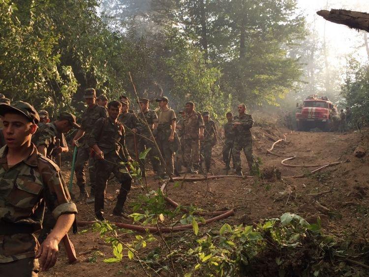 Пожароопасная ситуация в лесах Габалы полностью взята под контроль