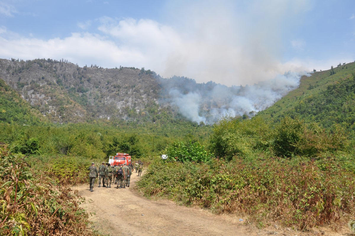 Сотни сотрудников МЧС и Минэкологии тушат лесные пожары в Габале
