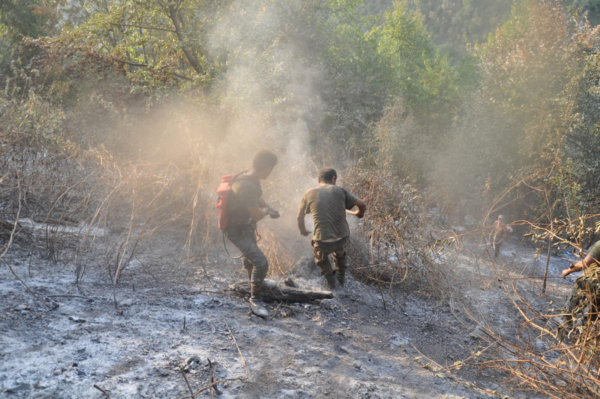 Сотни сотрудников МЧС и Минэкологии тушат лесные пожары в Габале