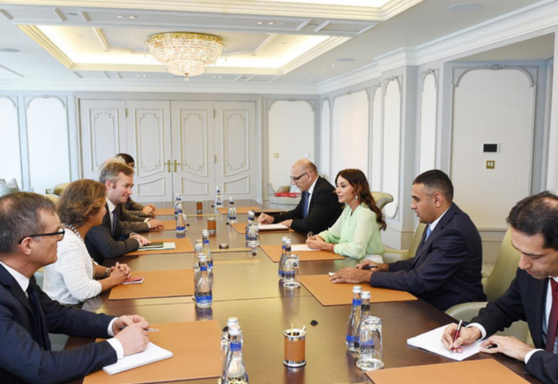 Первый вице-президент Мехрибан Алиева встретилась с делегацией во главе с госсекретарем министерства Европы и иностранных дел Франции